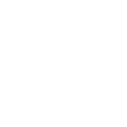 Linkedin Icon White